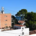 Anacasa Estrella De Mar Marineta Ap3215 * デニア